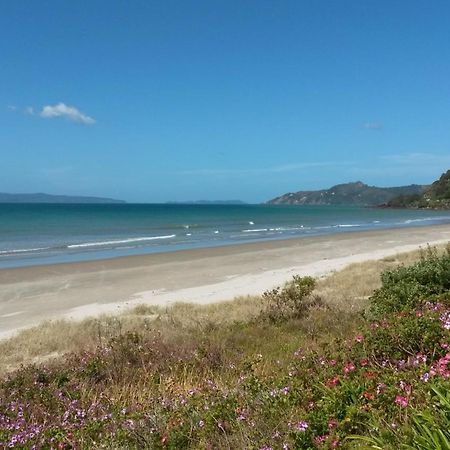 Bed and Breakfast Waimaire Matarangi Екстер'єр фото