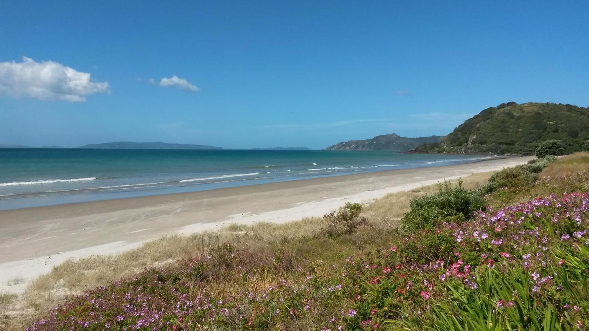 Bed and Breakfast Waimaire Matarangi Екстер'єр фото